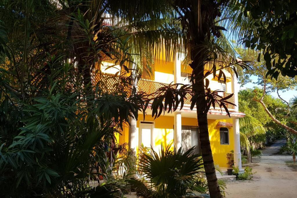 Marysol D10 Private Beach Next To Nomads Isla Mujeres Bagian luar foto